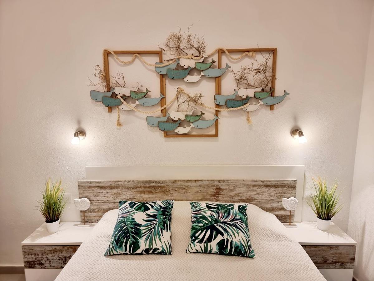 Ocean Forty C Apt. Green Oasis Costa Calma Fue 외부 사진