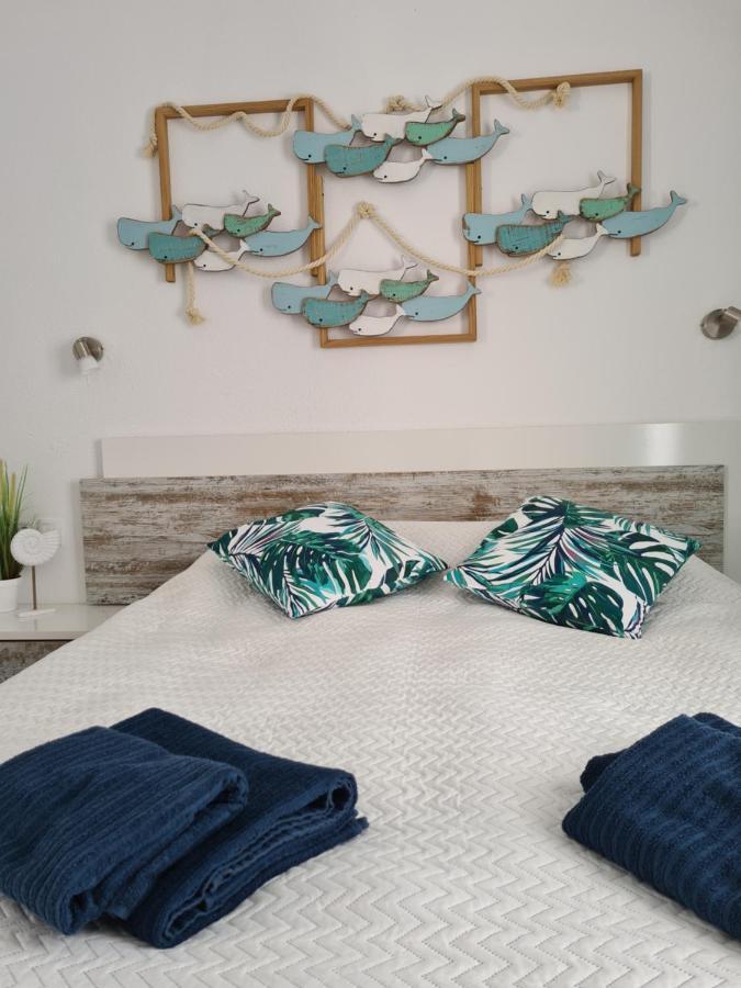 Ocean Forty C Apt. Green Oasis Costa Calma Fue 외부 사진